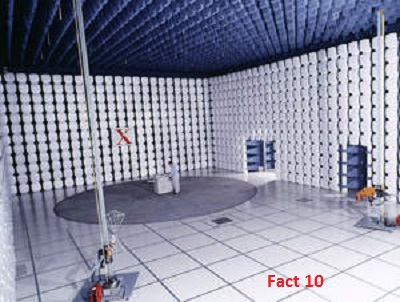 ������ FACT 3