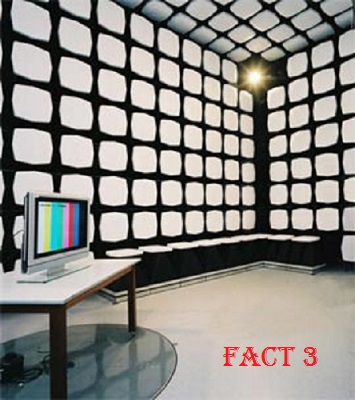 ������ FACT 3