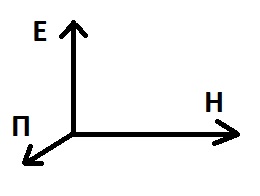 ������� ���������